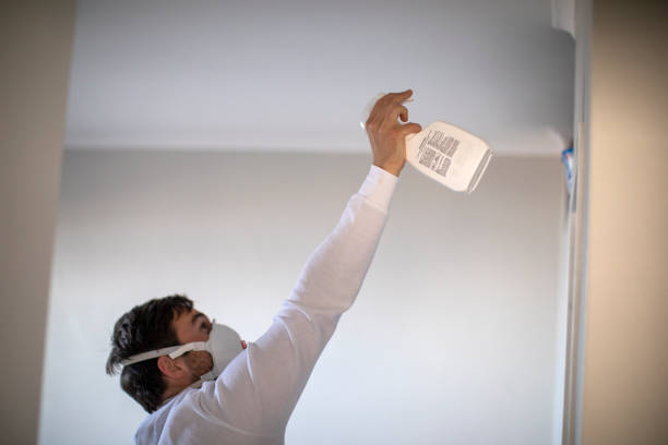 Best Attic Mold Removal  in Ladd, IL