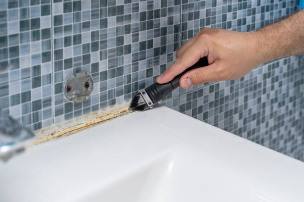 Office Mold Removal Services in Ladd, IL